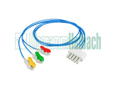 zu Dräger, Patientenleitung