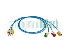 zu Philips, Patientenleitung