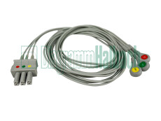 zu Dräger, Patientenleitung