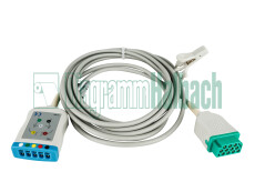 zu GE Marquette, Stammkabel