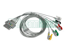 VS-System, Patientenleitung