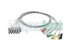 zu Philips, Patientenleitung