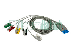 zu Philips, Patientenleitung