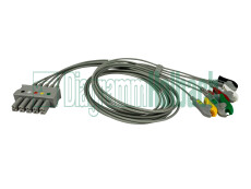 VS-System, Patientenleitung