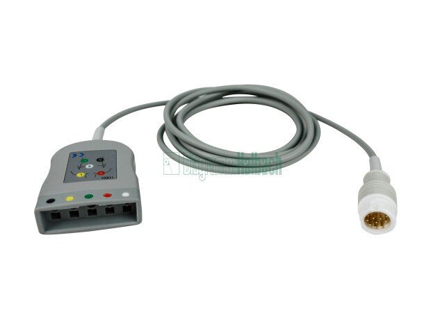 zu Philips, Stammkabel