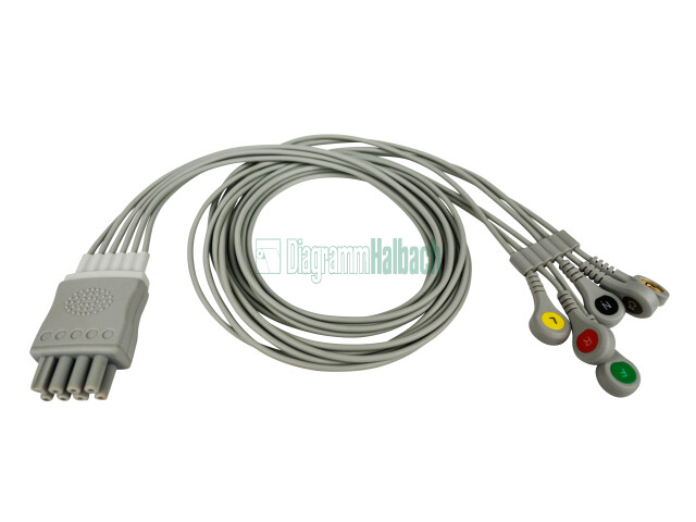 853345 - zu Nihon Kohden, Patientenleitung