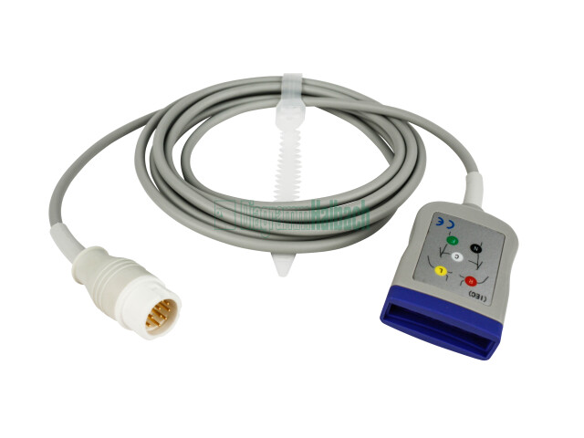 zu Philips, Stammkabel